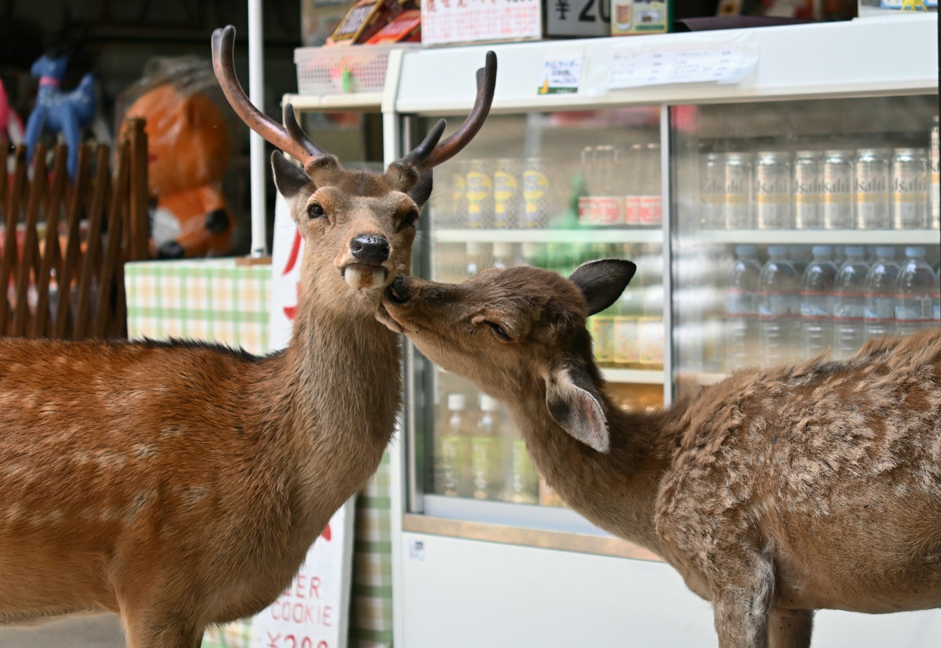 Nara